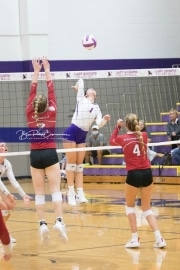 Volleyball - Hendersonville at North Henderson BRE_7256