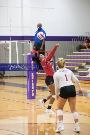 Volleyball - Hendersonville at North Henderson BRE_7292