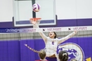 Volleyball - Hendersonville at North Henderson BRE_7297