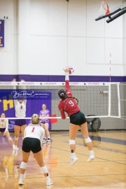 Volleyball - Hendersonville at North Henderson BRE_7301