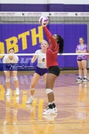 Volleyball - Hendersonville at North Henderson BRE_7303