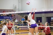 Volleyball - Hendersonville at North Henderson BRE_7306