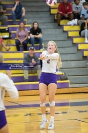 Volleyball - Hendersonville at North Henderson BRE_7314