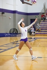 Volleyball - Hendersonville at North Henderson BRE_7315