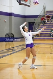 Volleyball - Hendersonville at North Henderson BRE_7316