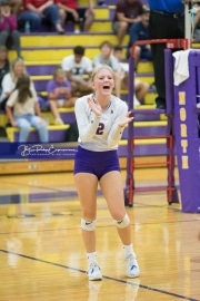 Volleyball - Hendersonville at North Henderson BRE_7333