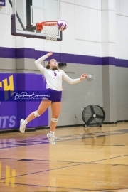 Volleyball - Hendersonville at North Henderson BRE_7339