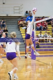 Volleyball - Hendersonville at North Henderson BRE_7344