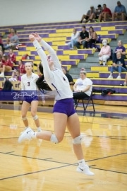 Volleyball - Hendersonville at North Henderson BRE_7359