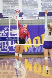 Volleyball - Hendersonville at North Henderson BRE_7368