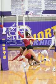 Volleyball - Hendersonville at North Henderson BRE_7372