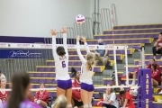 Volleyball - Hendersonville at North Henderson BRE_7387