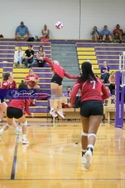 Volleyball - Hendersonville at North Henderson BRE_7408