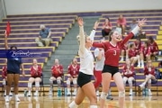 Volleyball - Hendersonville at North Henderson BRE_7414