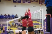 Volleyball - Hendersonville at North Henderson BRE_7416
