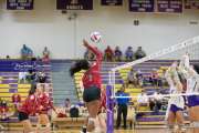 Volleyball - Hendersonville at North Henderson BRE_7418