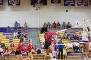 Volleyball - Hendersonville at North Henderson BRE_7419