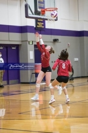 Volleyball - Hendersonville at North Henderson BRE_7424