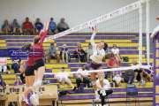 Volleyball - Hendersonville at North Henderson BRE_7431