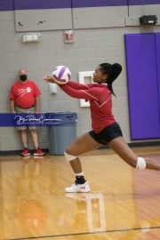 Volleyball - Hendersonville at North Henderson BRE_7444