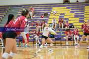 Volleyball - Hendersonville at North Henderson BRE_7456