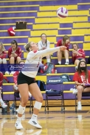 Volleyball - Hendersonville at North Henderson BRE_7457