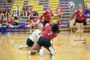 Volleyball - Hendersonville at North Henderson BRE_7460