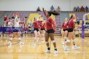 Volleyball - Hendersonville at North Henderson BRE_7462
