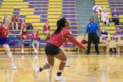 Volleyball - Hendersonville at North Henderson BRE_7469