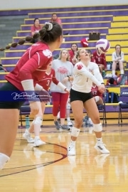 Volleyball - Hendersonville at North Henderson BRE_7471