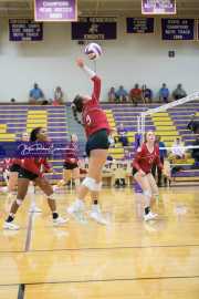 Volleyball - Hendersonville at North Henderson BRE_7473