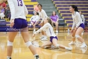 Volleyball - Hendersonville at North Henderson BRE_7479