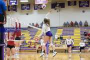Volleyball - Hendersonville at North Henderson BRE_7481
