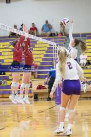 Volleyball - Hendersonville at North Henderson BRE_7487