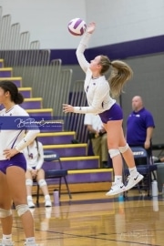 Volleyball - Hendersonville at North Henderson BRE_7489