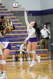 Volleyball - Hendersonville at North Henderson BRE_7537