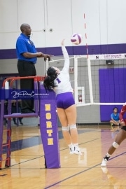 Volleyball - Hendersonville at North Henderson BRE_7573