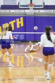 Volleyball - Hendersonville at North Henderson BRE_7585