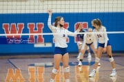 Volleyball - Polk at West Henderson_BRE_8947