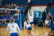 Volleyball - Polk at West Henderson_BRE_8980