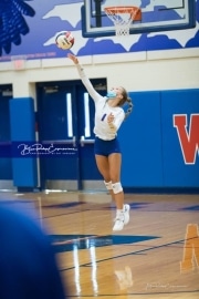 Volleyball - Polk at West Henderson_BRE_9012