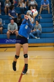 Volleyball - Polk at West Henderson_BRE_9015