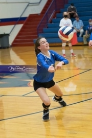 Volleyball - Polk at West Henderson_BRE_9021