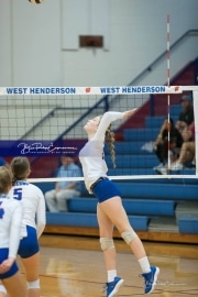 Volleyball - Polk at West Henderson_BRE_9070