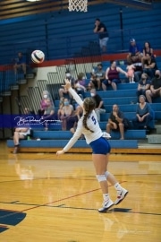 Volleyball - Polk at West Henderson_BRE_9076