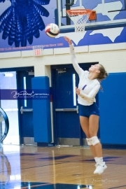 Volleyball - Polk at West Henderson_BRE_9095