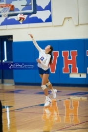Volleyball - Polk at West Henderson_BRE_9099