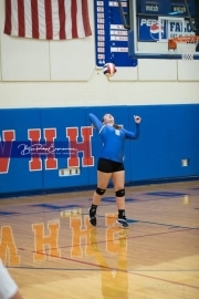 Volleyball - Polk at West Henderson_BRE_9121