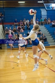 Volleyball - Polk at West Henderson_BRE_9133