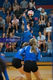 Volleyball - Polk at West Henderson_BRE_9135